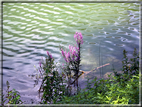 foto Lago di Terlago